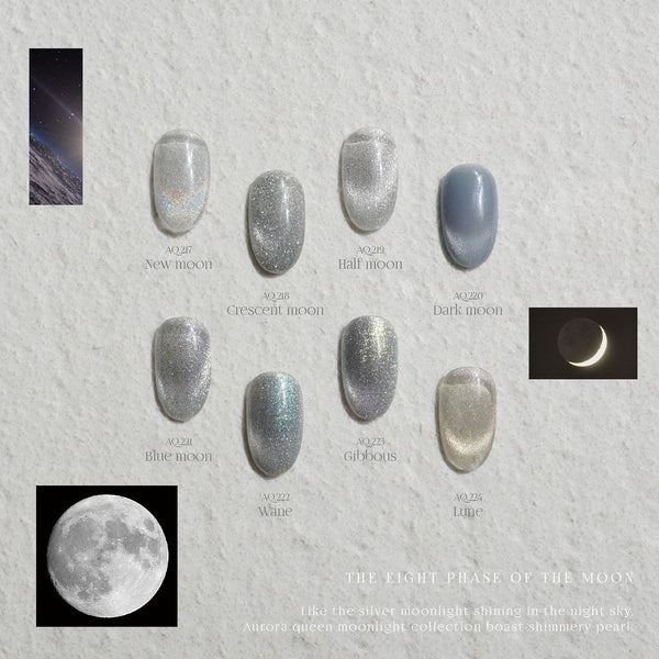 DALBIT MOONLIGHT COLLECTION