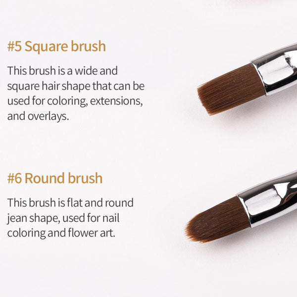 SIGNATURE BRUSH #5 SQUARE